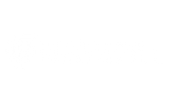 DGETI