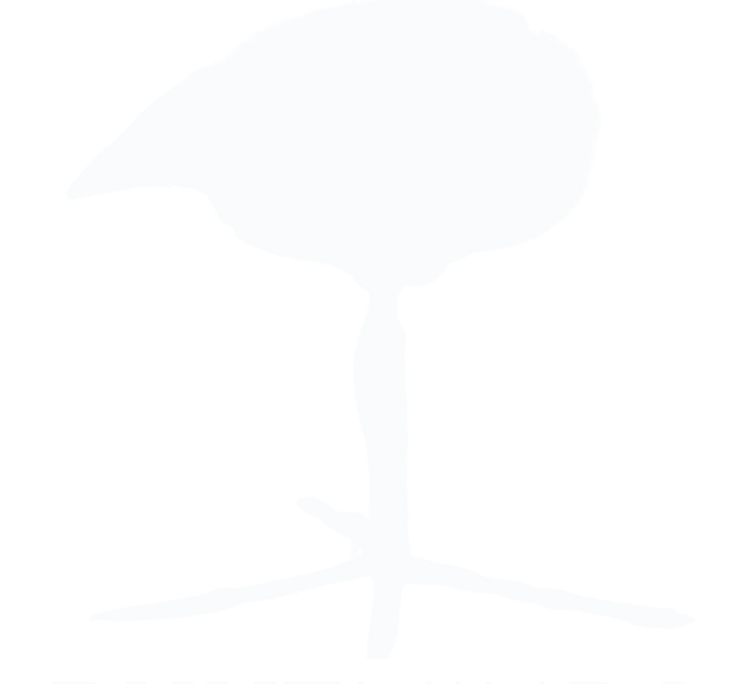 Desarrolladores